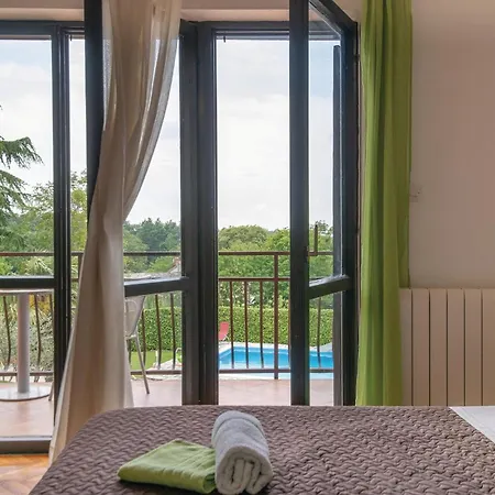 Holiday home Pet Friendly Home In Pazin With Jacuzzi