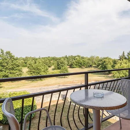 Holiday home Pet Friendly Home In Pazin With Jacuzzi