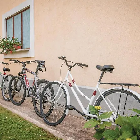 Holiday home Pet Friendly Home In Pazin With Jacuzzi